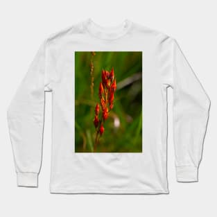 Orangey-Red Against Green Long Sleeve T-Shirt